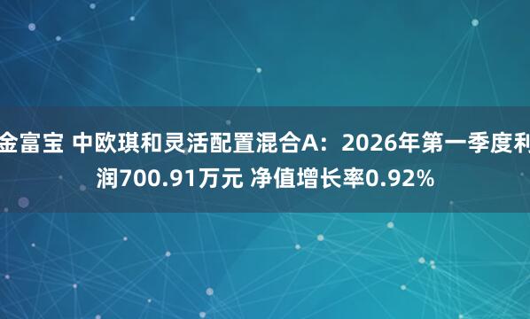 金富宝 中欧琪和灵活配置混合A：2026年第一季度利润700.91万元 净值增长率0.92%
